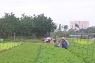 Hiện trạng dự án hơn 1 tỉ USD Chủ tịch Hà Nội lệnh khởi công