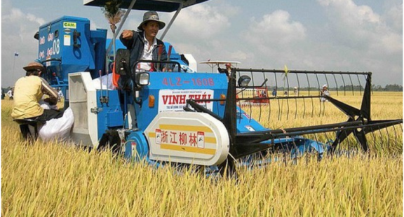 Xây dựng chuỗi giá trị để gạo Việt Nam phát triển bền vững