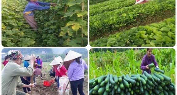 Phụ nữ mạnh dạn khởi nghiệp, vươn lên làm giàu