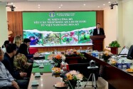Hoa Kỳ chính thức nhập khẩu bưởi Việt Nam