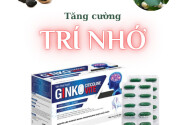 PHƯƠNG PHÁP GIÚP NGƯỜI TRẺ TUỔI CẢI THIỆN SUY GIẢM TRÍ NHỚ CHỈ TRONG 7 NGÀY